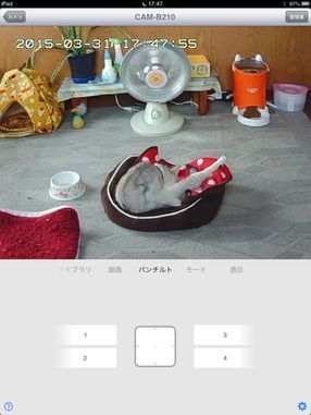 Qwatch_ipad.jpg