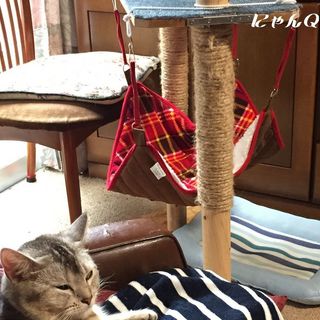 hammock01.jpg