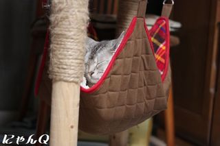 hammock03.jpg