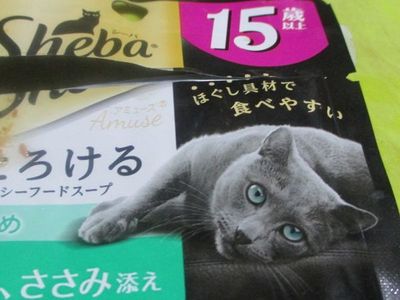 nekokinenn1822.jpg