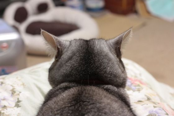 sleep04.jpg
