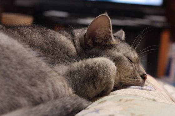 sleep05.jpg