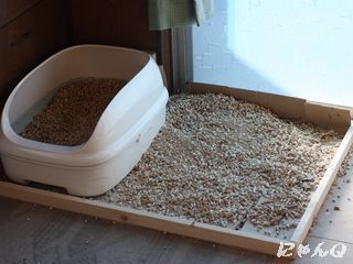 toilet02.jpg