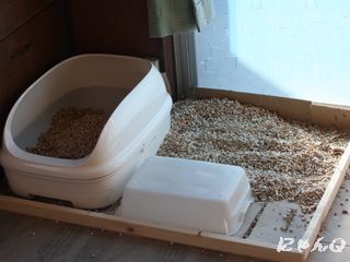 toilet03.jpg
