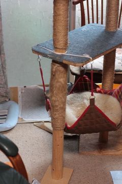 tsumetogi04.jpg