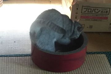 tsumetogi12.jpg