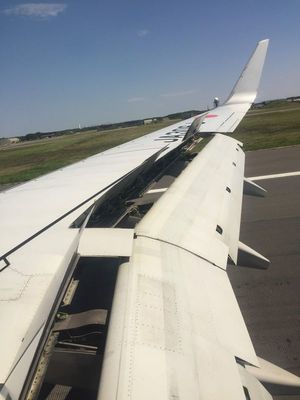 01_airline03.jpg