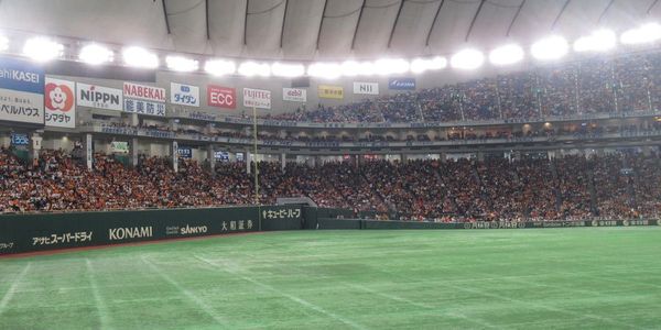 01_dome01.jpg