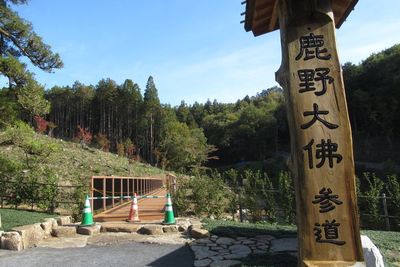 01_kanodaibutsu02.jpg