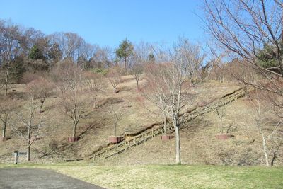 01_miyagase07.jpg