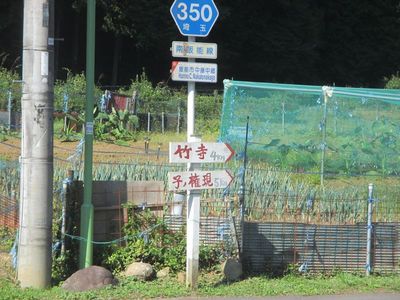 01_nenogon_03.jpg