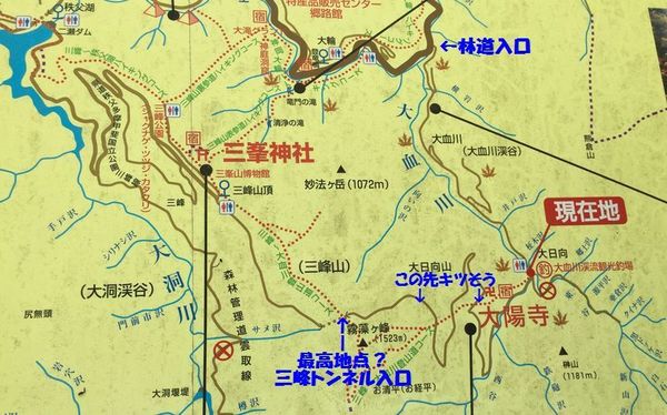 01_rindou03.jpg