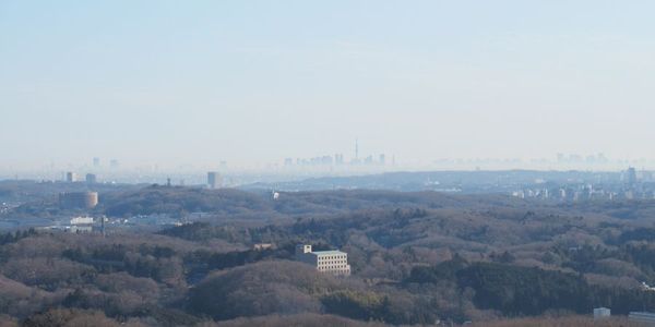 01_shiroyama02.jpg