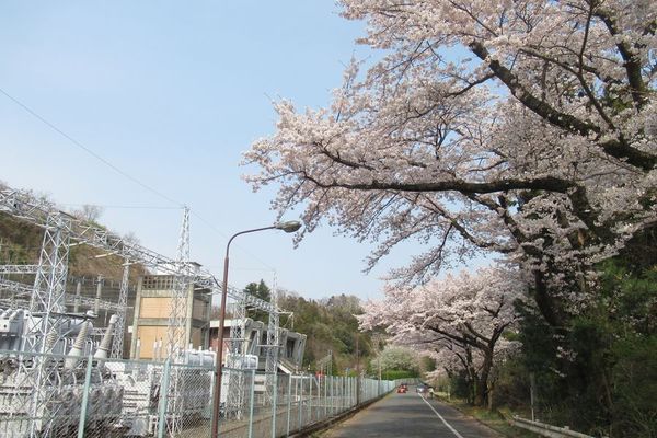 01_siroyama02.jpg
