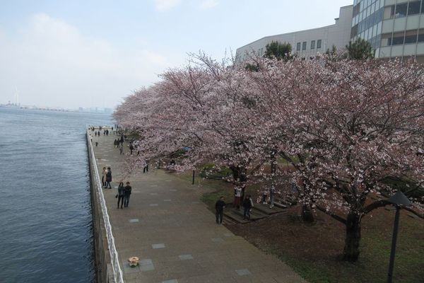 01_yokohama06.jpg