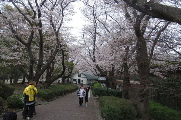 01_yokohama21.jpg