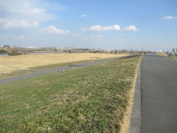 02_arakawa04.jpg