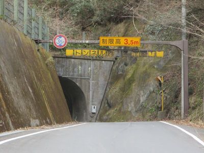 02_dousi10.jpg