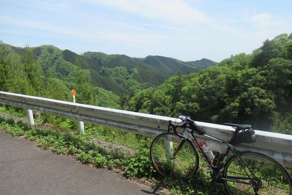 02_iriyama03.jpg