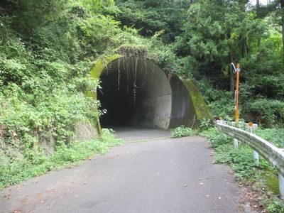 02_iriyama04.jpg