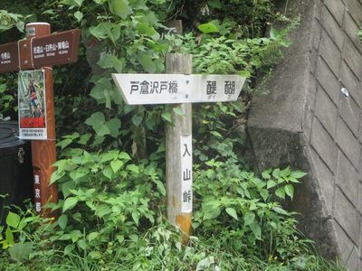 02_iriyama08.jpg