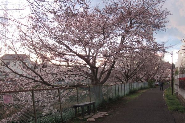 02_sakai05.jpg