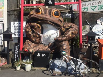 02_tsutsujigaoka01.jpg