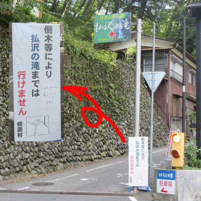 03_hinohara04.jpg