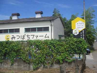 03_itsukaichi03.jpg