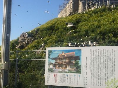 03_kabushima02.jpg
