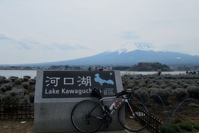 03_kawaguchi02.jpg
