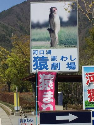 03_kawaguchiko03.jpg