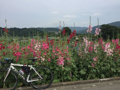 03_tsukui02.jpg