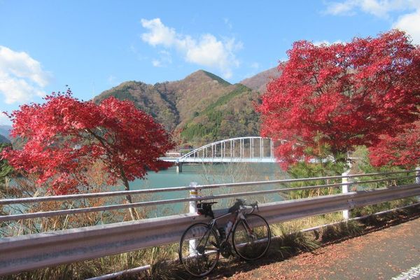 03nakagawa01.jpg