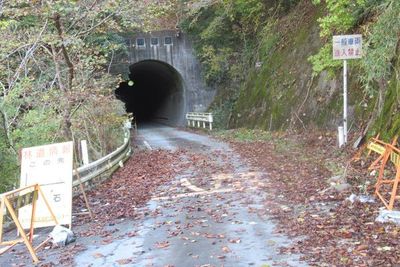 03nakagawa03.jpg