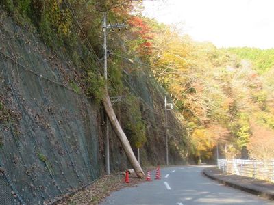 03nakagawa06.jpg