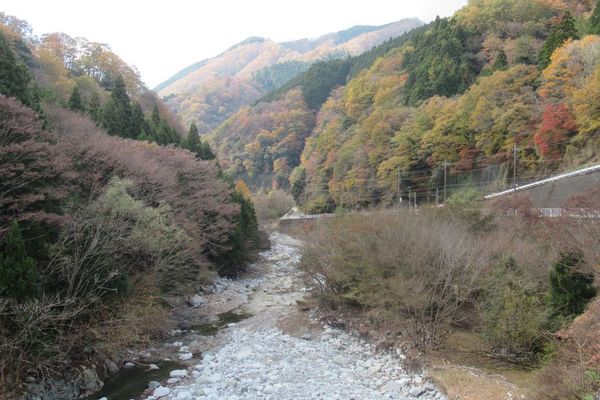 03nakagawa13.jpg