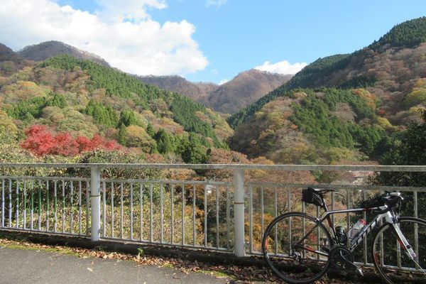 03nakagawa14.jpg