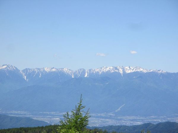 04_nyuugasa03.jpg