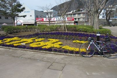 04_sagami06.jpg