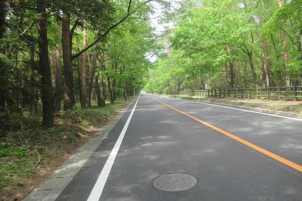 04_yamanaka_04.jpg