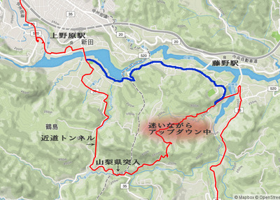 05_fujino08.jpg