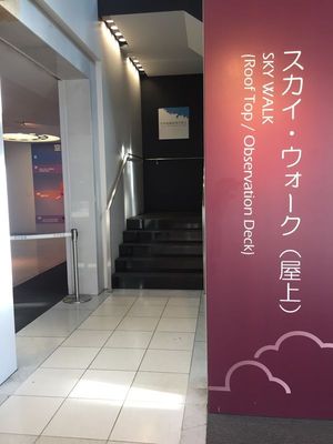 05_umeda061.jpg