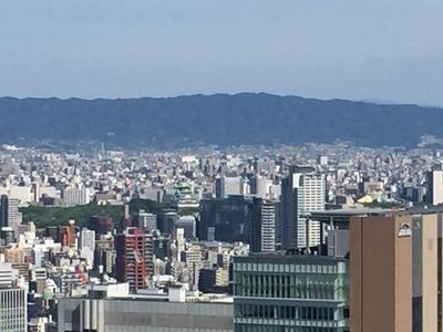05_umeda08.jpg