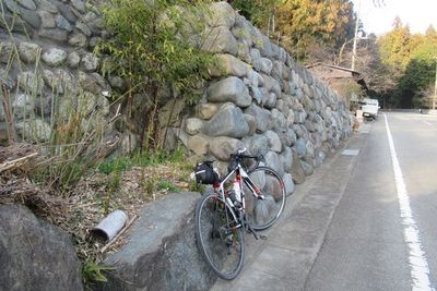 07_fujino05.jpg