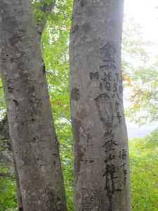 07_kudari02.jpg