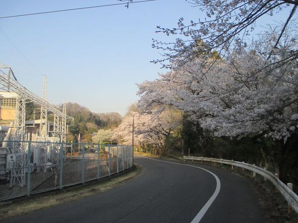 07_shiroyama02.jpg