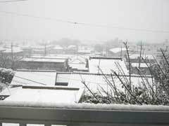 ベランダからの雪景色