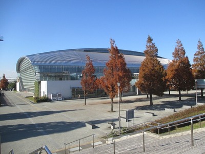 IMG_2384.JPG