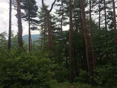 IMG_3472.JPG